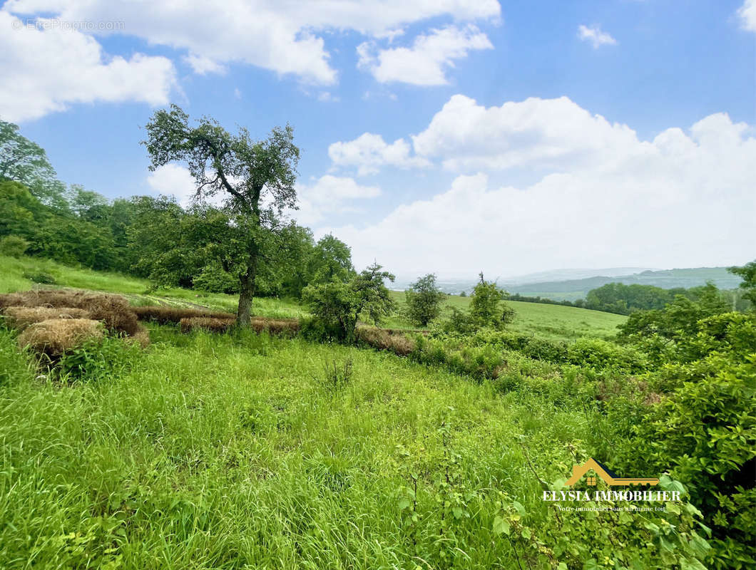 Terrain à MOUSSON