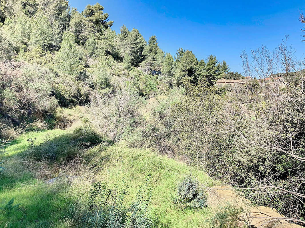 Terrain à BANDOL