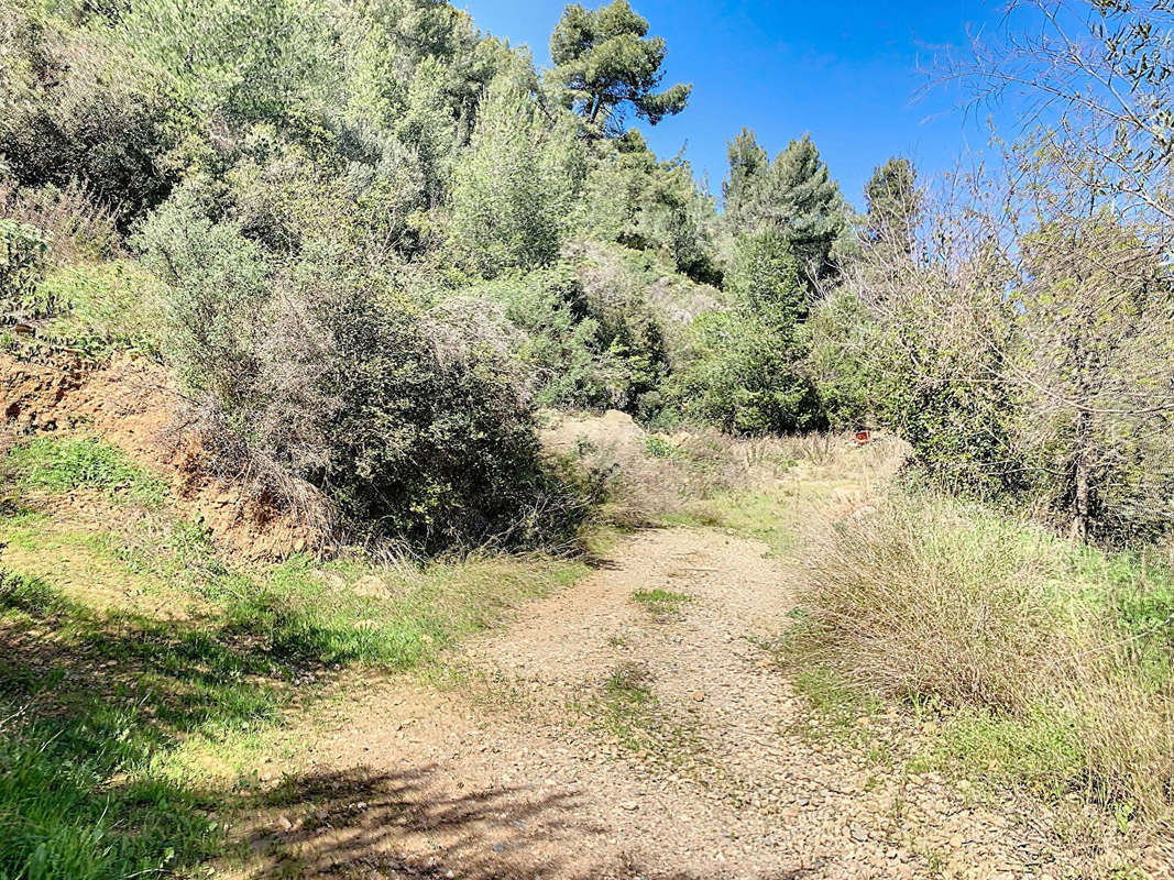 Terrain à BANDOL