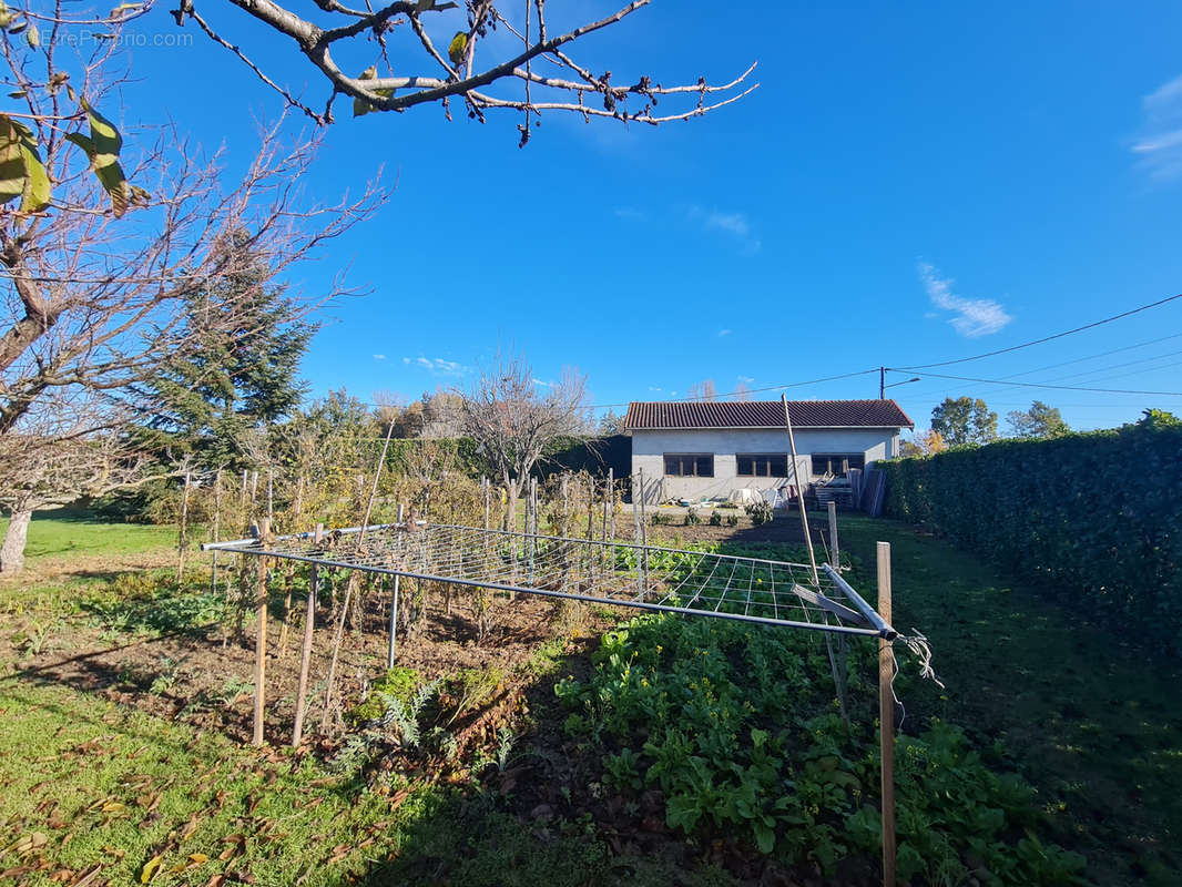 Terrain à SAINT-SULPICE-SUR-LEZE