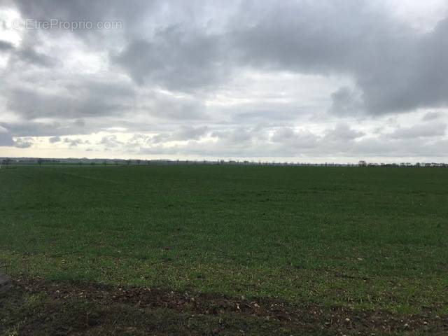 Terrain à SAINT-NAZAIRE-SUR-CHARENTE