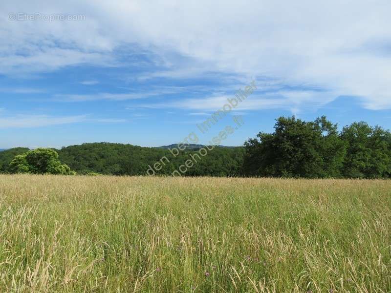 Terrain à JUILLAC