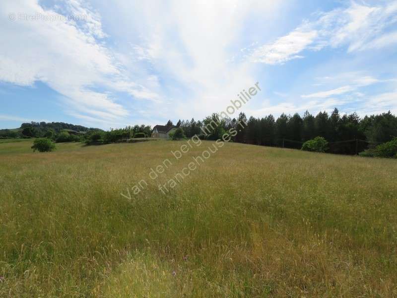 Terrain à JUILLAC