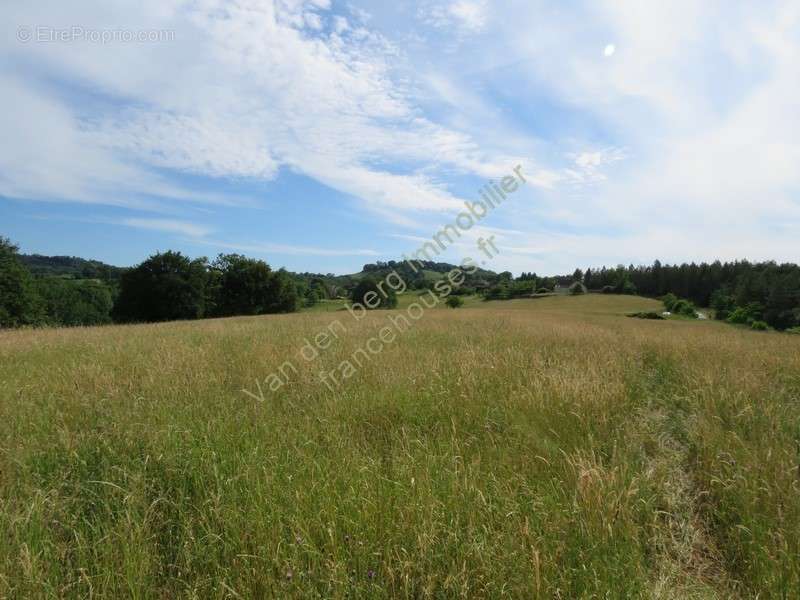 Terrain à JUILLAC