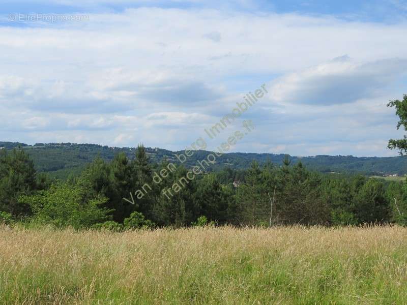 Terrain à JUILLAC