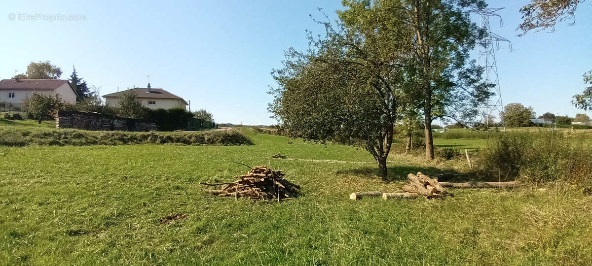 Terrain à MATTAINCOURT