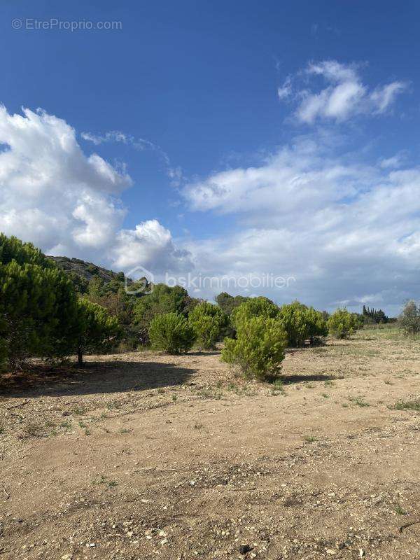 Terrain à FITOU