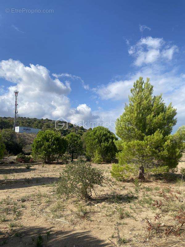 Terrain à FITOU