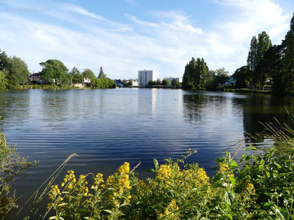 Appartement à VANNES