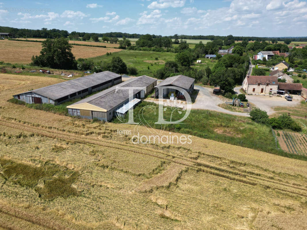 Terrain à SARZAY