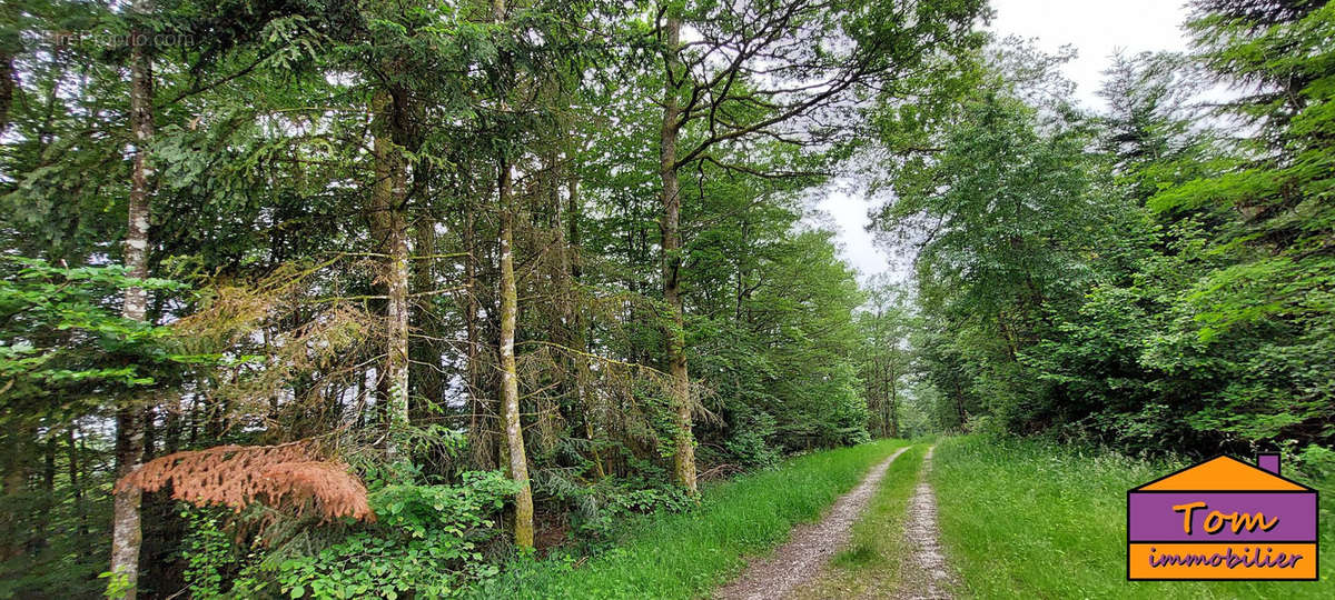 Terrain à CHAMPAGNEY