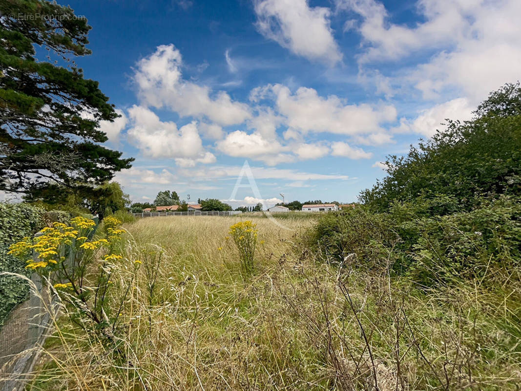 Terrain à SAINT-JEAN-DE-MONTS