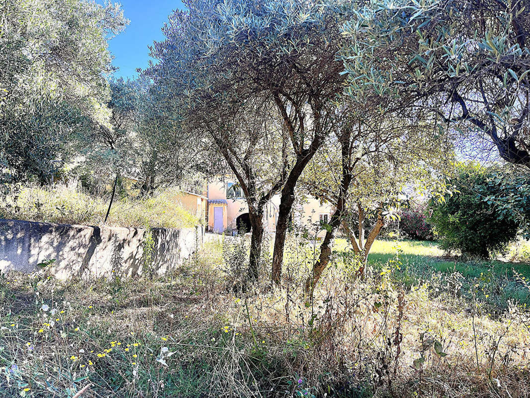 Maison à SAUVETERRE