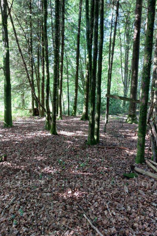 Terrain à MARCILLAC-LA-CROISILLE