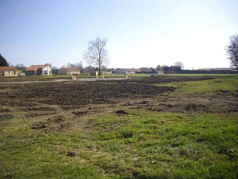 Terrain à CHOUPPES