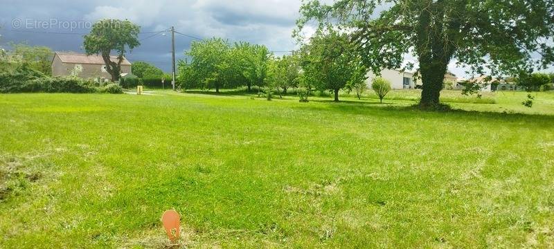 Terrain à CHASSENEUIL-SUR-BONNIEURE