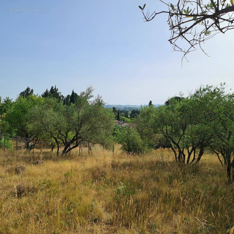 Terrain à ROQUEMAURE