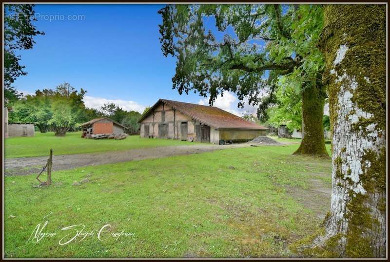 Maison à PONTONX-SUR-L&#039;ADOUR