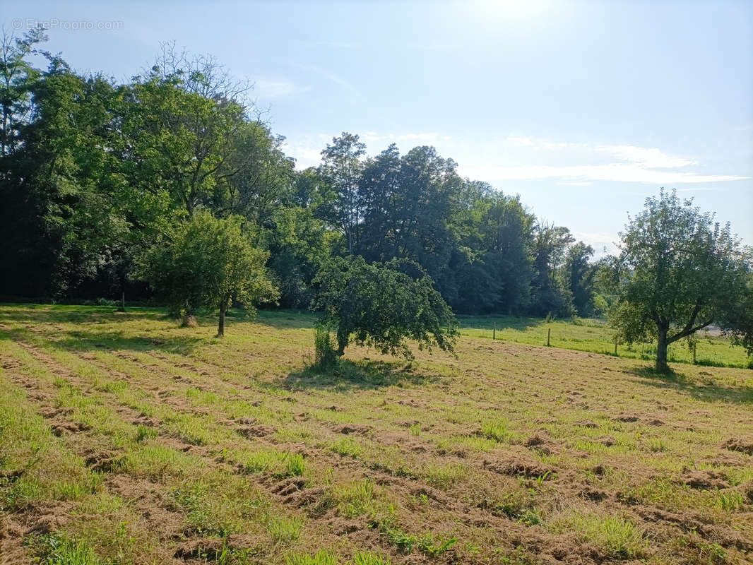 Terrain à THIERS