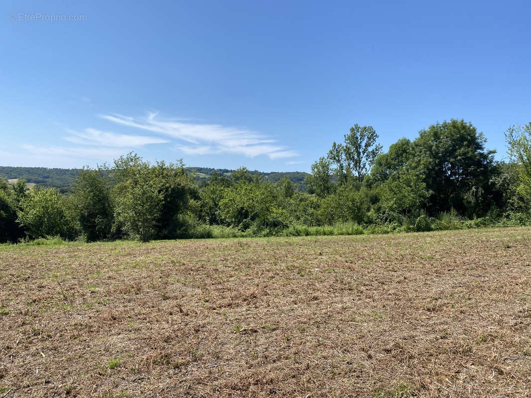 Terrain à JUILLAC