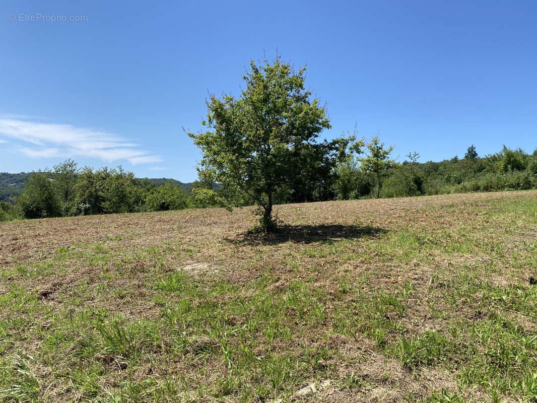 Terrain à JUILLAC