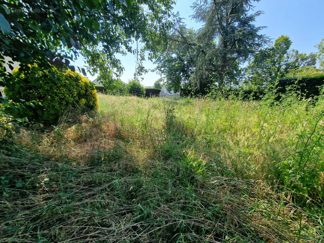 Terrain à SAINT-BARTHELEMY-D&#039;ANJOU