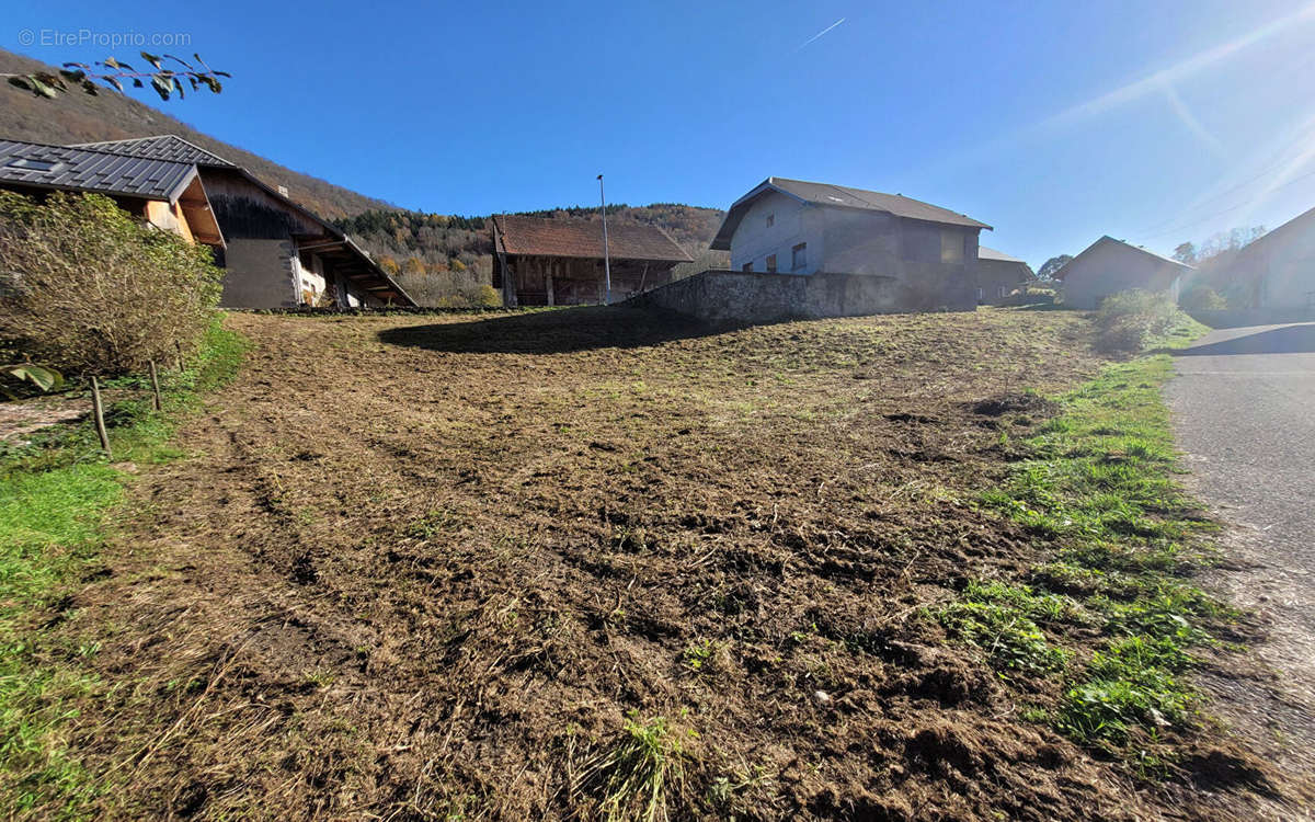 Terrain à SAINTE-REINE