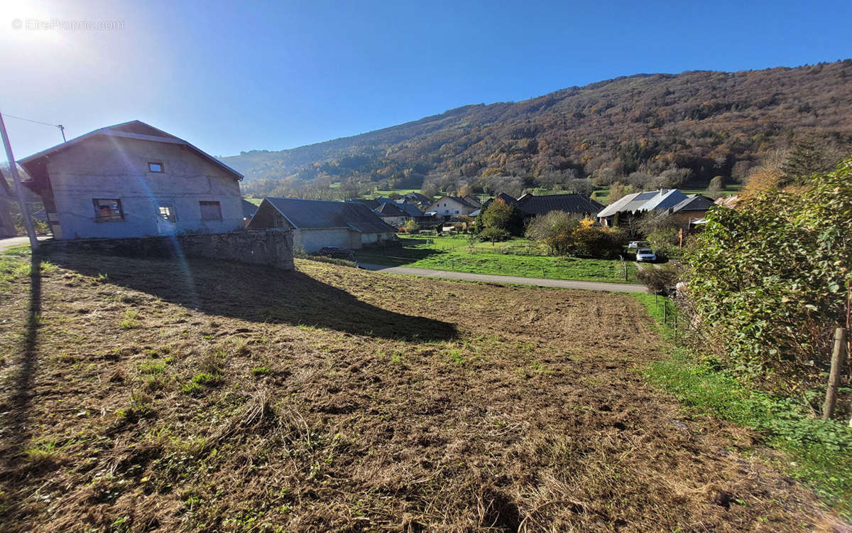 Terrain à SAINTE-REINE