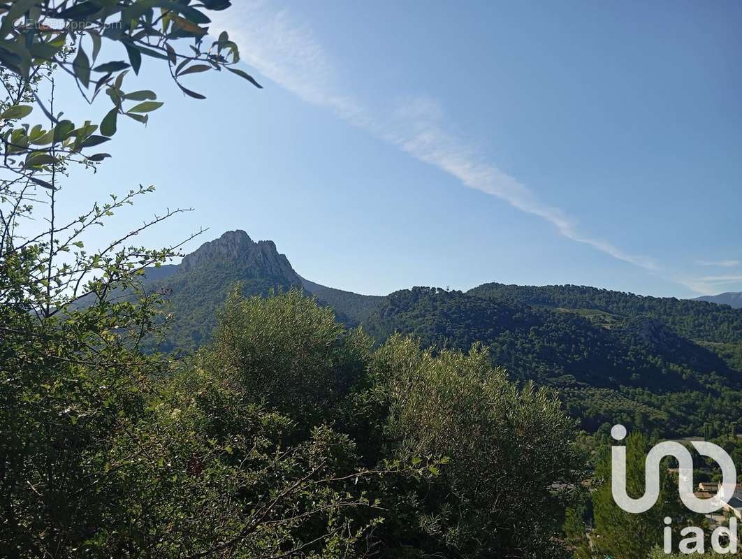 Photo 2 - Terrain à BUIS-LES-BARONNIES