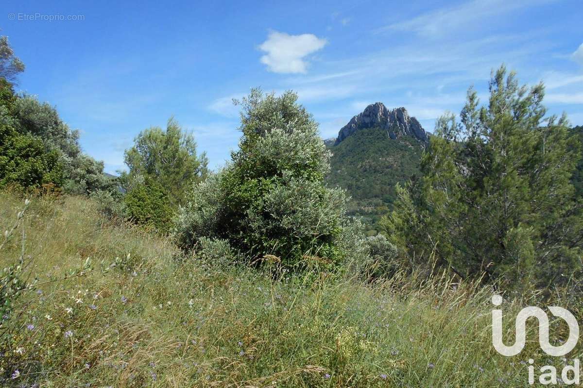 Photo 4 - Terrain à BUIS-LES-BARONNIES