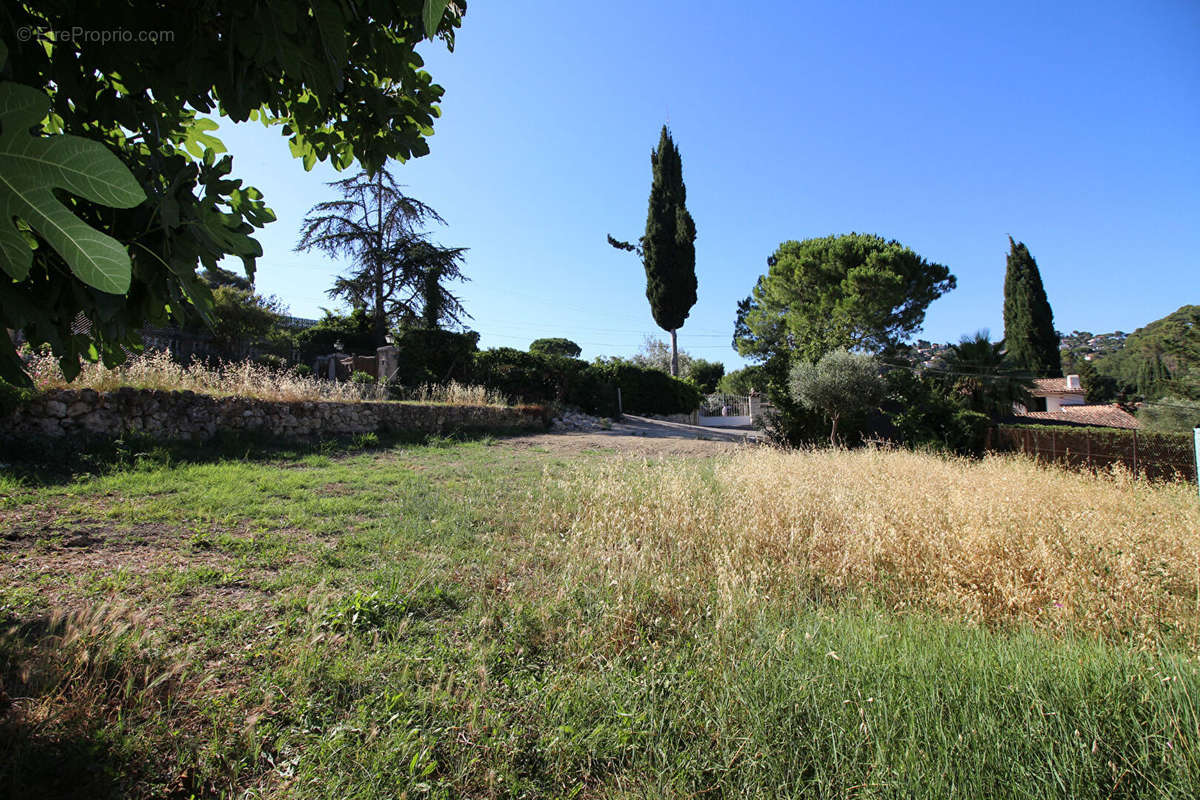 Terrain à MOUGINS