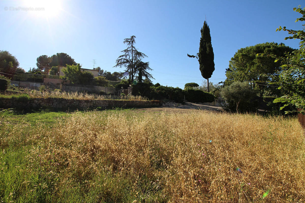 Terrain à MOUGINS