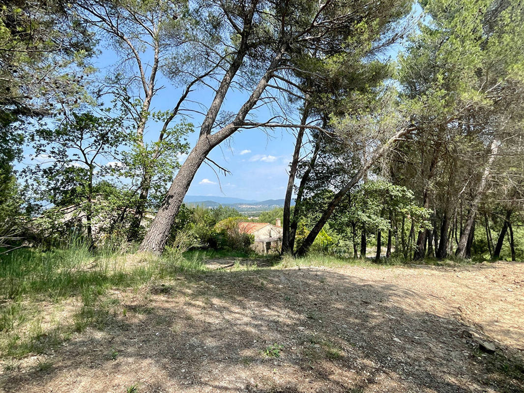 Terrain à LA ROQUE-D&#039;ANTHERON