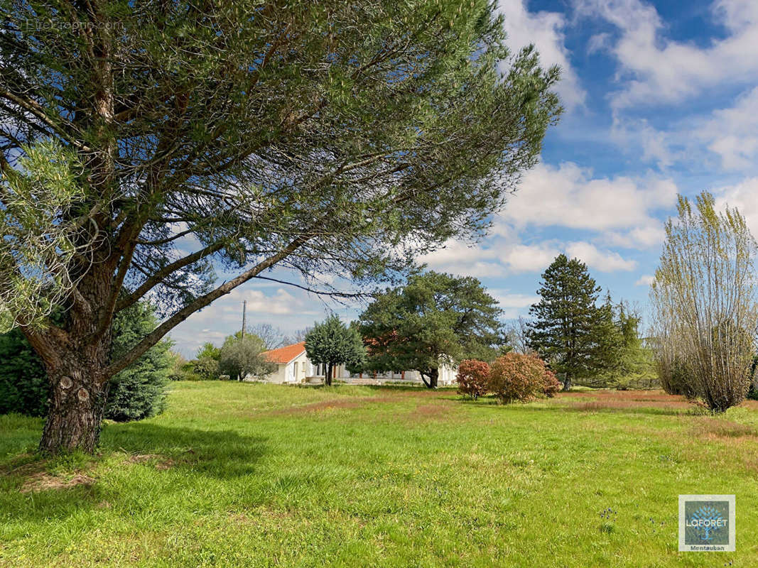 Maison à MONTAUBAN