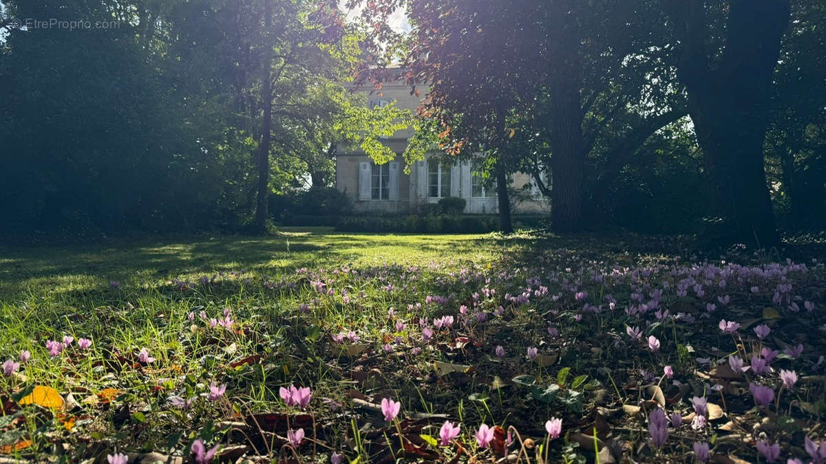 Maison à VAYRES