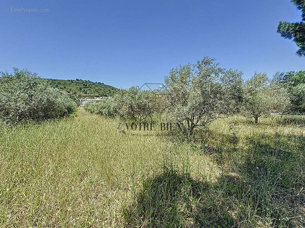 Terrain à VILLENEUVE