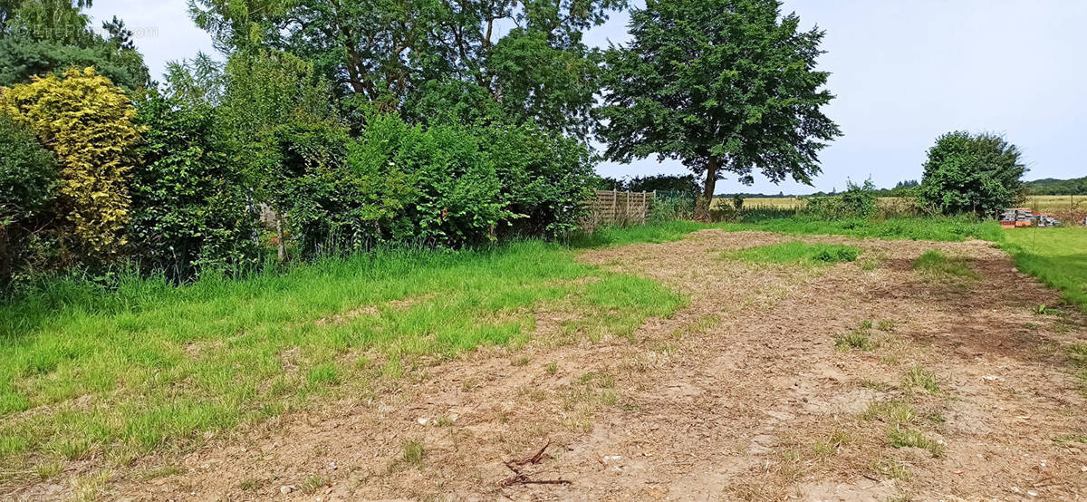 Terrain à SAINTE-GENEVIEVE