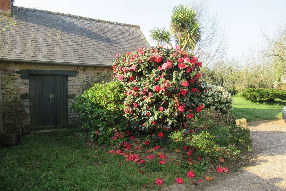 Maison à GAEL