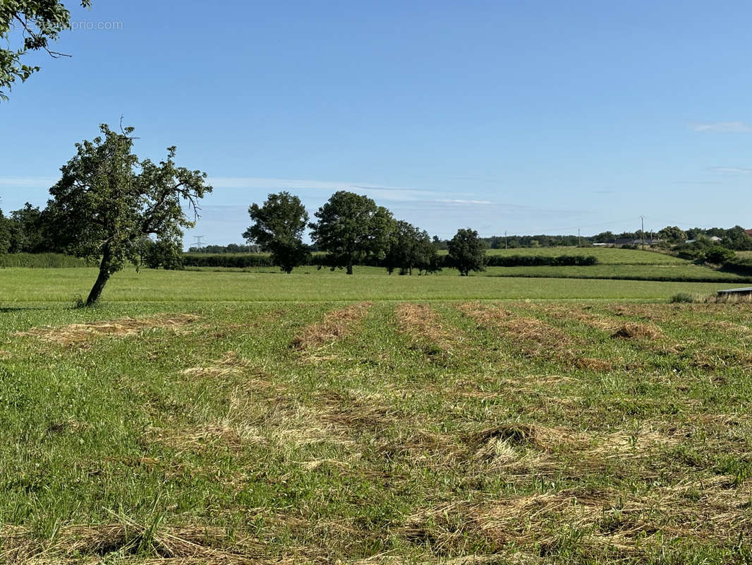 Terrain à ESPINASSE-VOZELLE