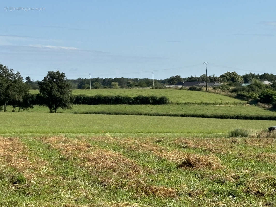 Terrain à ESPINASSE-VOZELLE