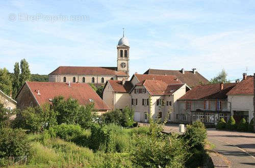 Terrain à DAMPIERRE-SUR-LINOTTE