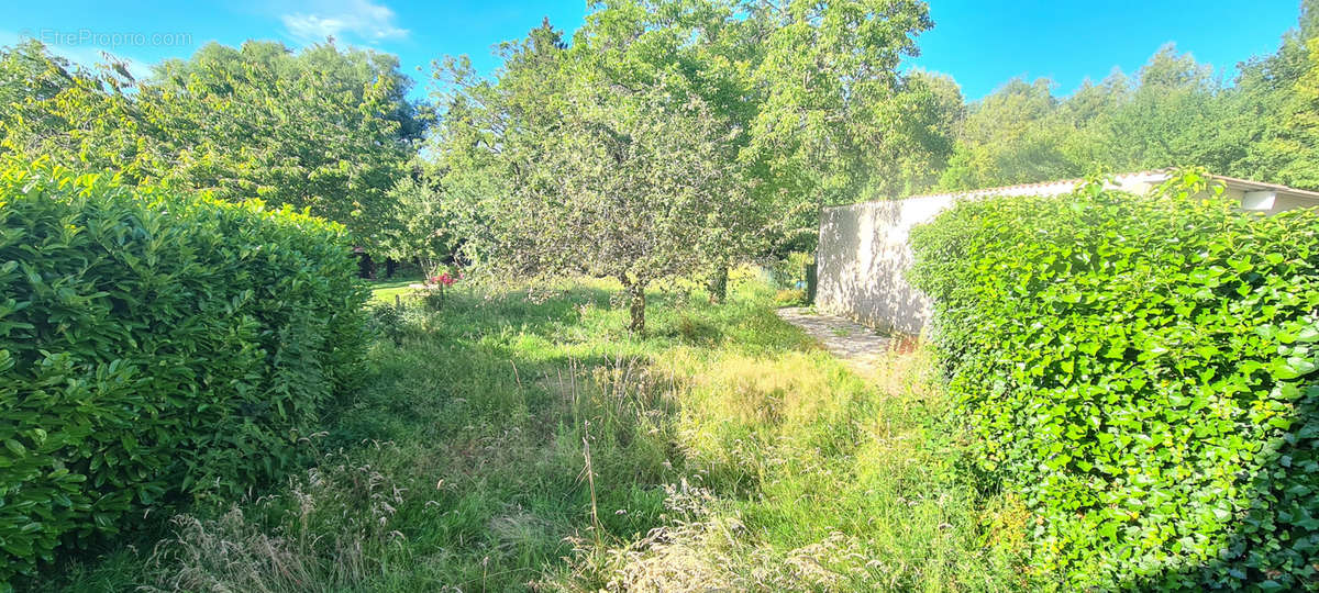 Maison à CLERMONT-EN-ARGONNE