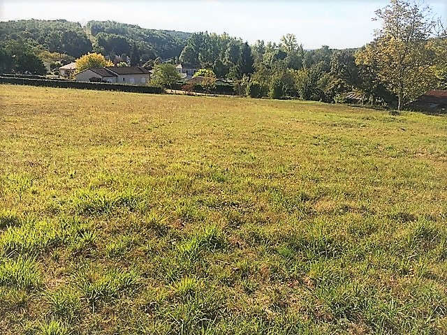 Terrain à PAUSSAC-ET-SAINT-VIVIEN