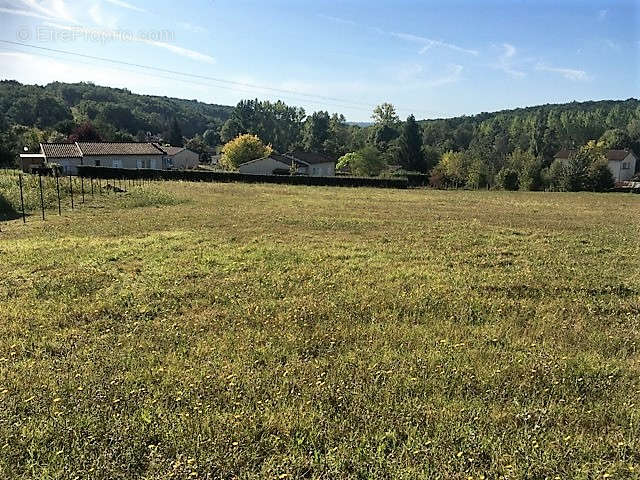 Terrain à PAUSSAC-ET-SAINT-VIVIEN