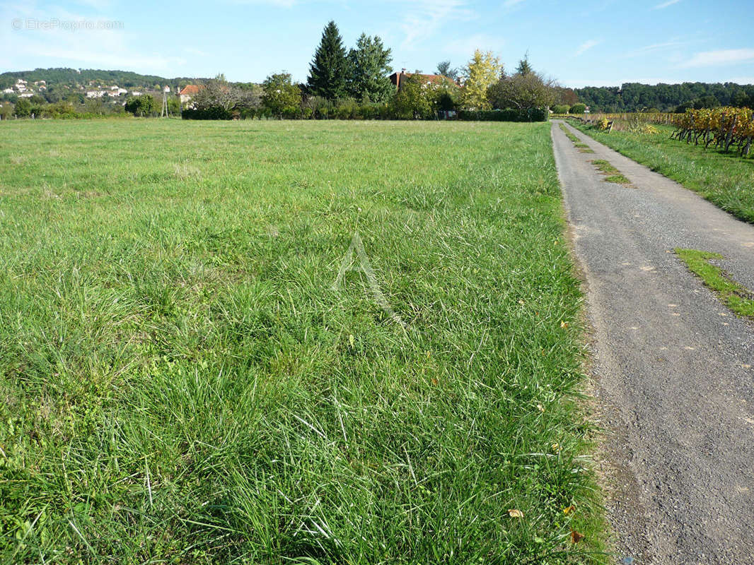 Terrain à PUY-L&#039;EVEQUE