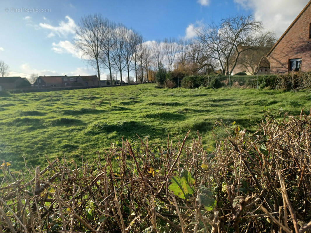 Terrain à PENIN