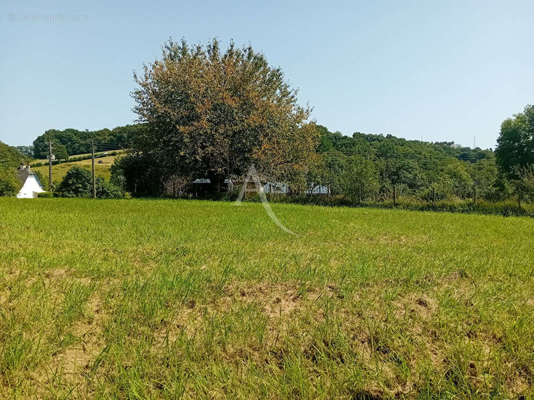 Terrain à MAULEON-LICHARRE