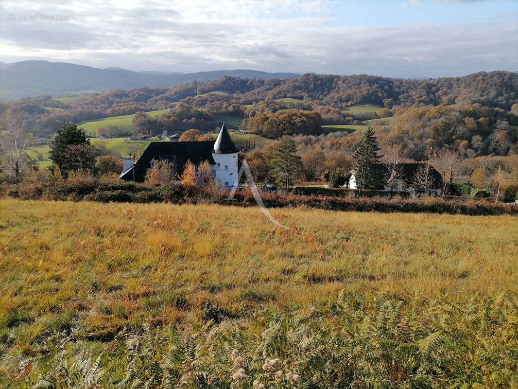 Terrain à MAULEON-LICHARRE