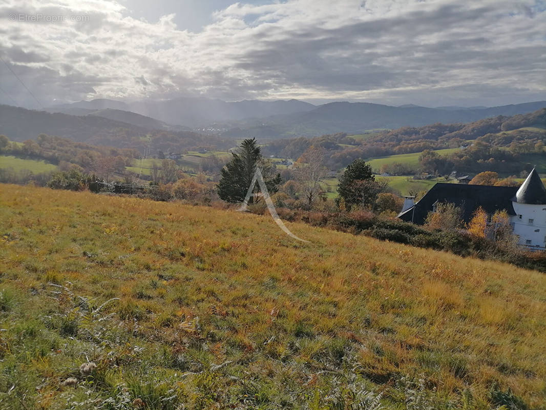 Terrain à MAULEON-LICHARRE