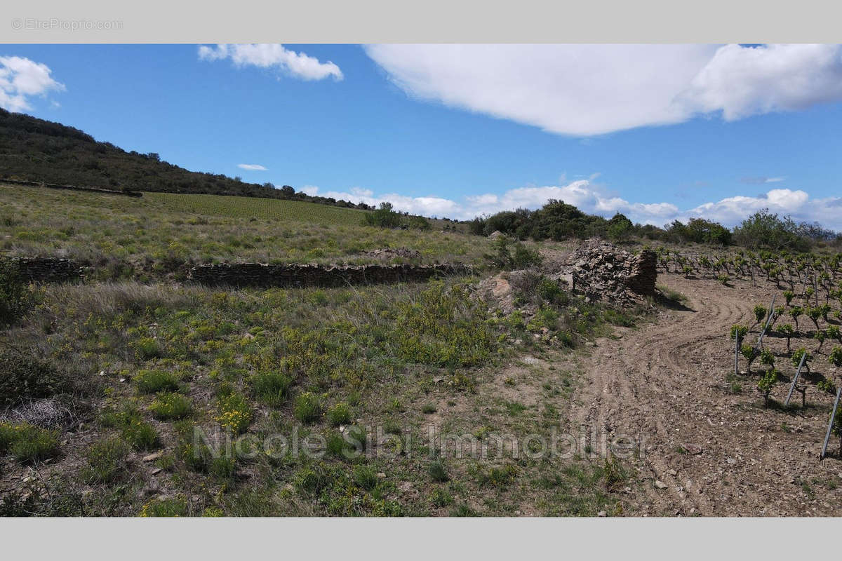 Terrain à MONTNER